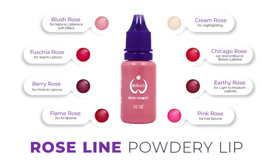 Sobrancelha das fontes de Rose Pigment Color Permanent Makeup Microblading do pigmento de Biotouch micro que protege MicrGel polishgmentation