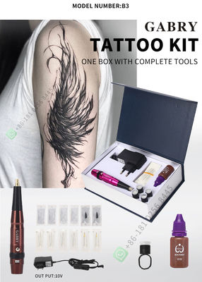 Máquina giratória sem fio de baixo nível de ruído de Pen For Lips Rechargeable Tattoo da tatuagem