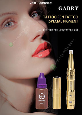 Máquina permanente Kit Electric Microblading For Eyebrow da arma da tatuagem da composição