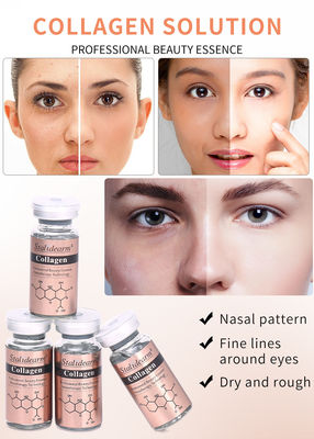 OEM/OBM Stalidearm Skin Care Essence Colágeno Antirrugas Hidratante Rosto Sérum Marca Privada