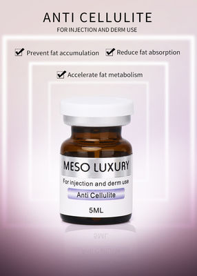 Anti-celulite Mesoterapia Essença emagrecedora Perda de peso Barriga queima de gordura Exossomos soro