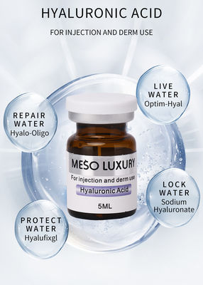 Sérum de Exossomos de Ácido Hialurônico Injetável de Marca Própria Reforço da Pele Injeção de Mesoterapia