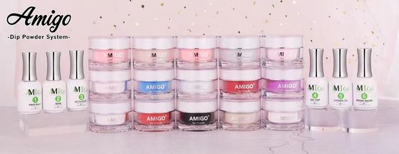 O mergulho do prego do amigo 10g pulveriza Kit System Acrylic Easy Molding 20 cores