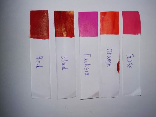 Do pigmento permanente da composição da tinta da tatuagem do bordo de Biotouch cor natural