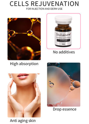 Solução Injetável de Mesoterapia de Colágeno Exossoma Serum Set Skin Booster