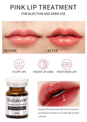 Solução de Mesoterapia Exosome França Stalidearm Original Pink Lip Treatment Serum Injetável